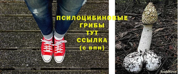 прущие крисы Вяземский