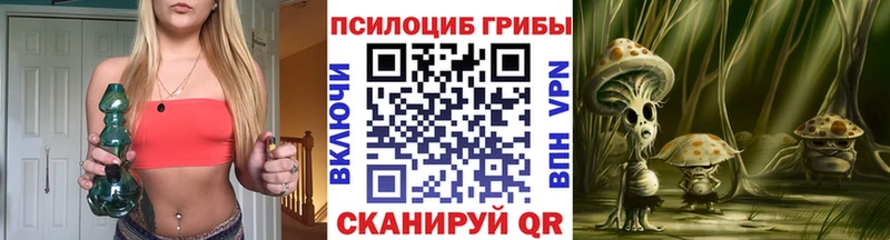 Псилоцибиновые грибы мицелий Инта